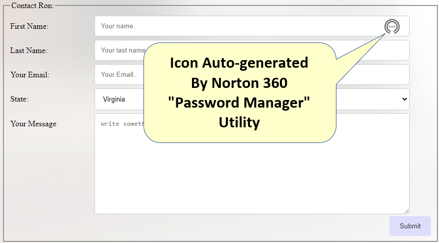 Norton Password Manager Icon