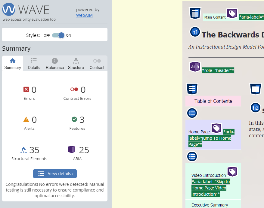 WAVE Test Results for The Development Process Page