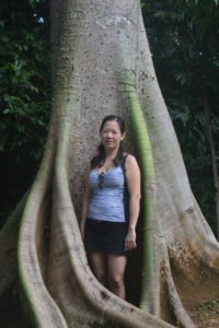 Winnie and the Banyan Tree